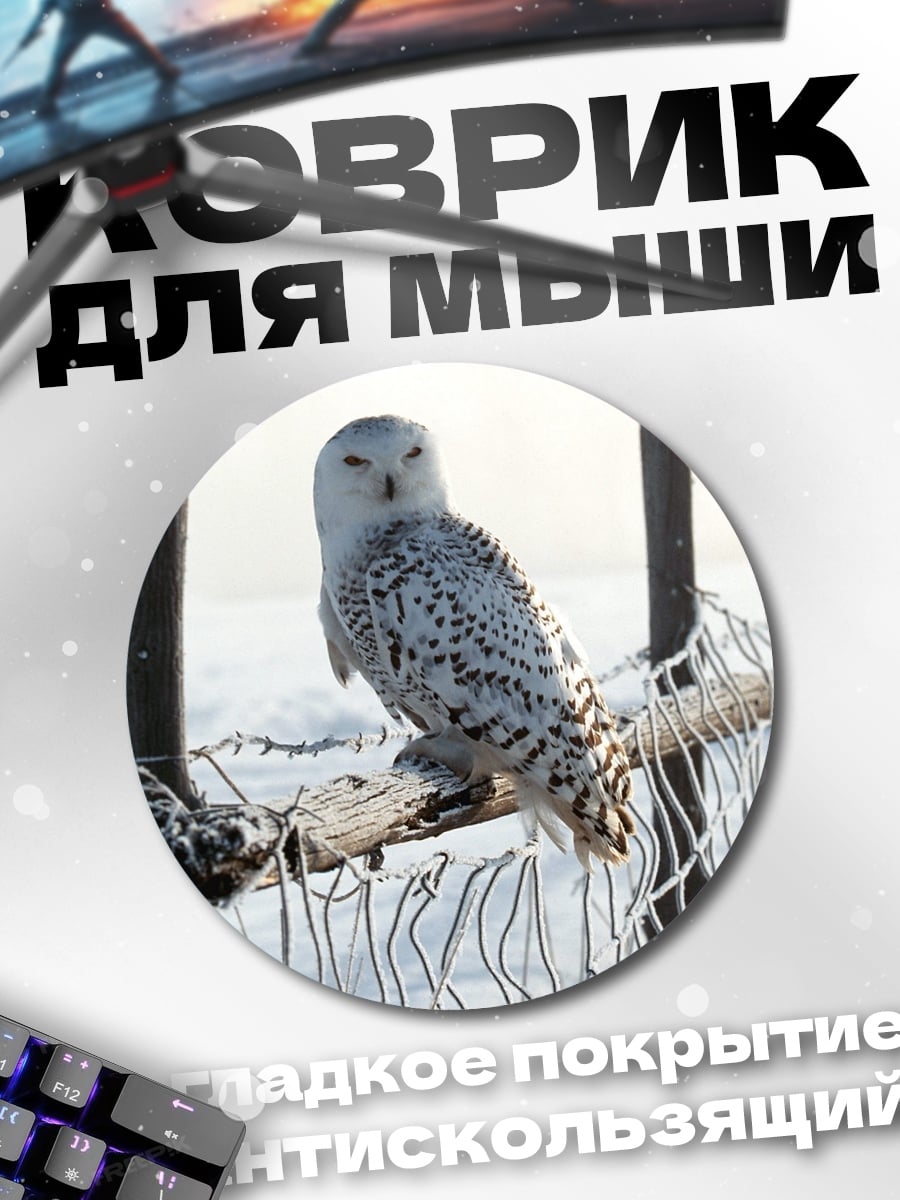 Коврик круглый Белая сова на ветке
