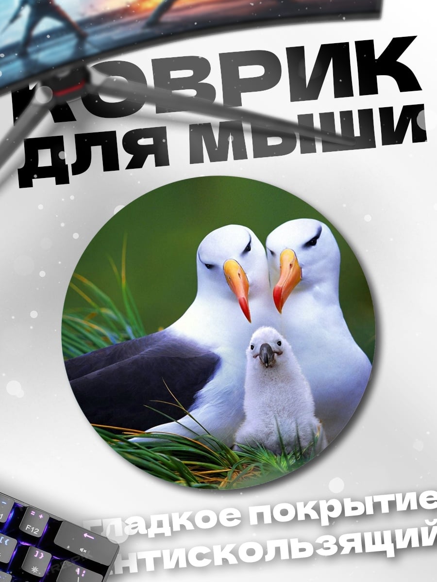 Коврик круглый семья альбатросов