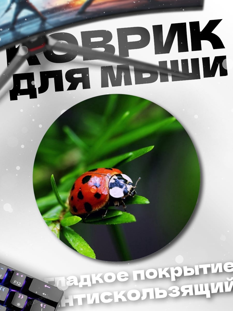 Коврик круглый Божья коровка на ветке