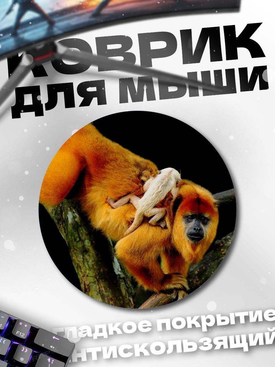 Коврик круглый Золотая обезьяна с детенышем