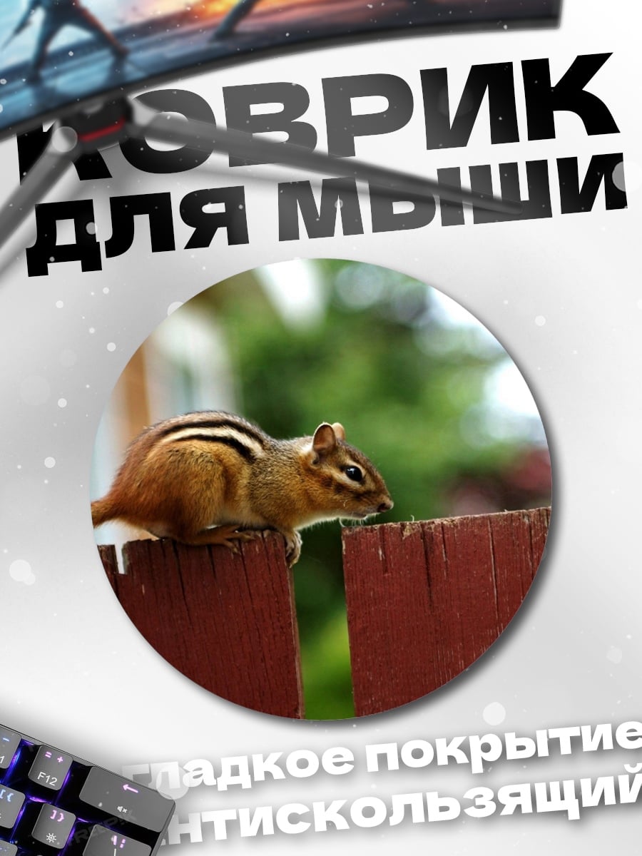 Коврик круглый бурундук на заборе