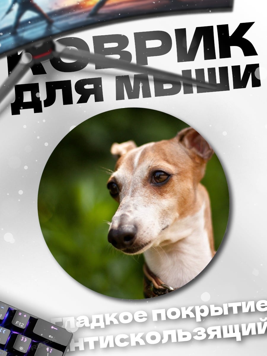 Коврик круглый Портрет собаки