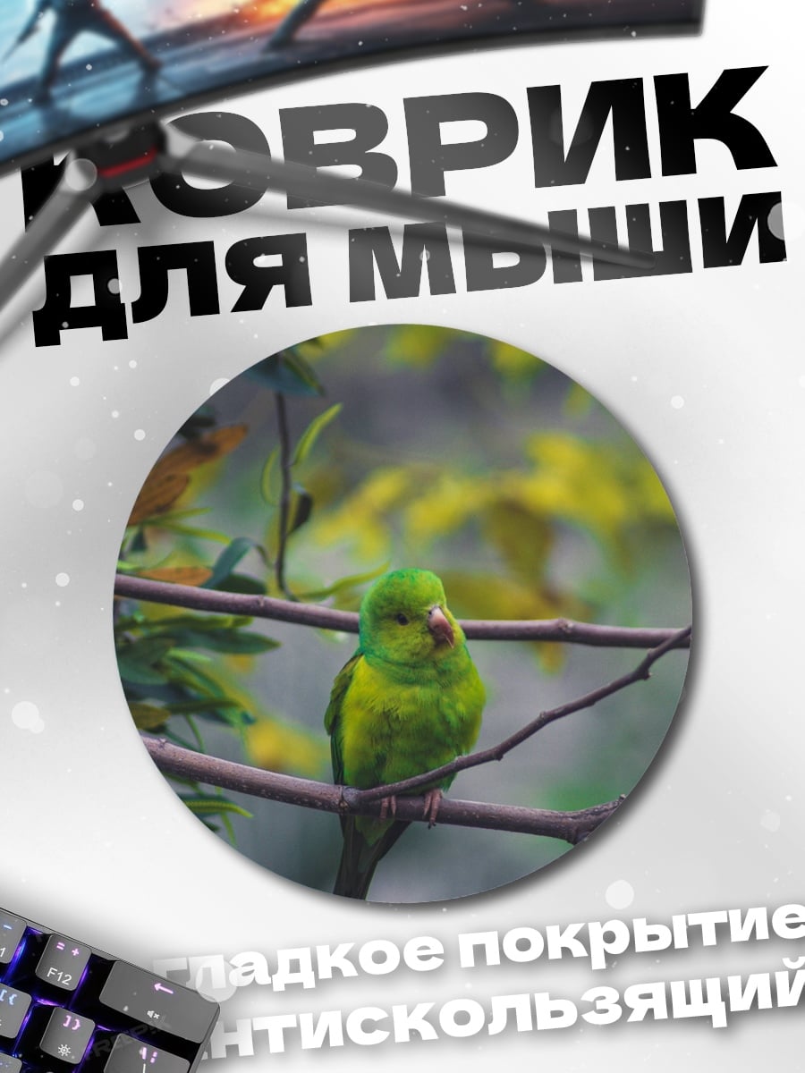 Коврик круглый зеленая птица ветка
