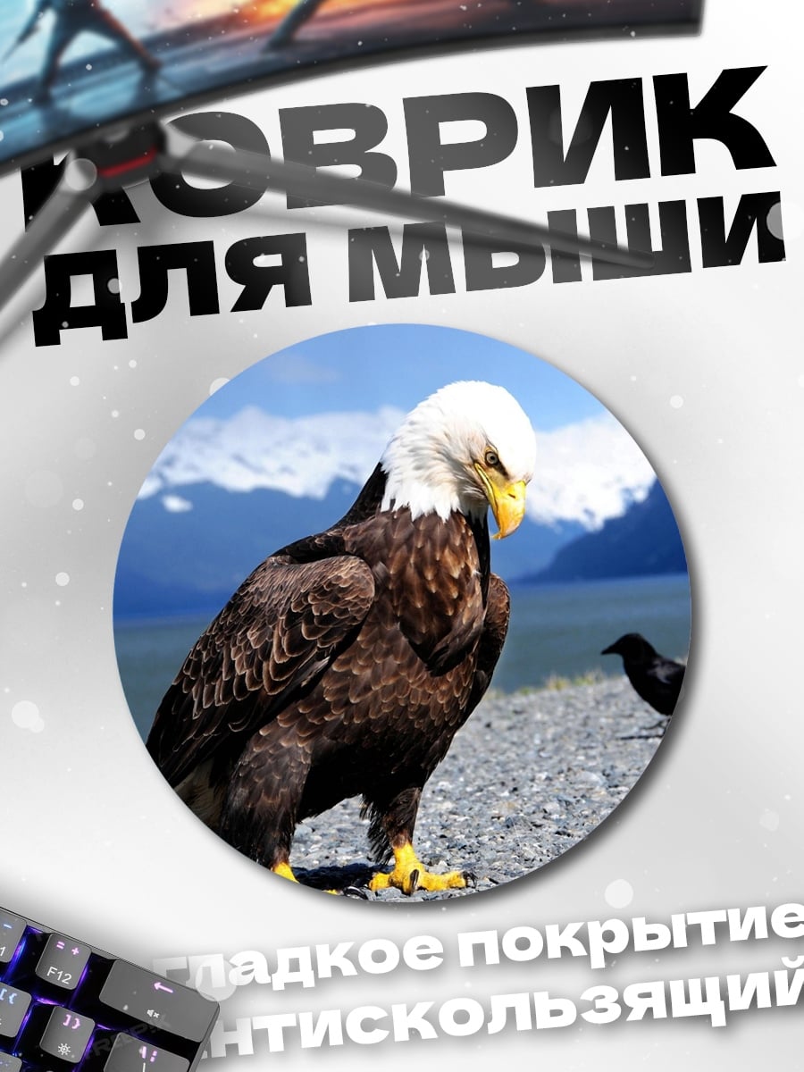 Коврик круглый Орел и ворона