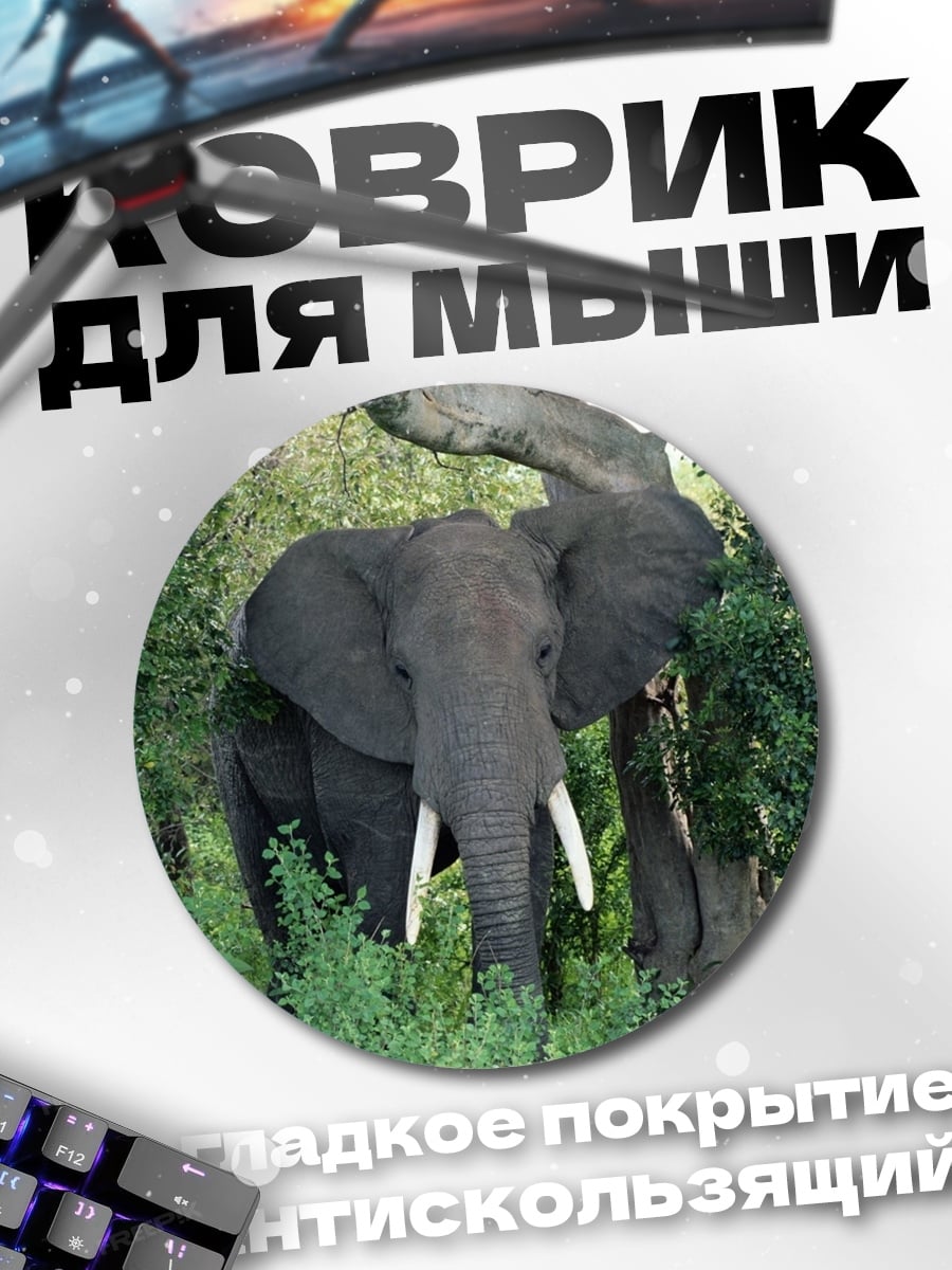 Коврик круглый Слон в лесу