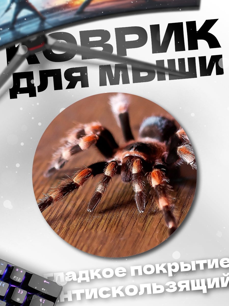 Коврик круглый Паук тарантул крупным планом