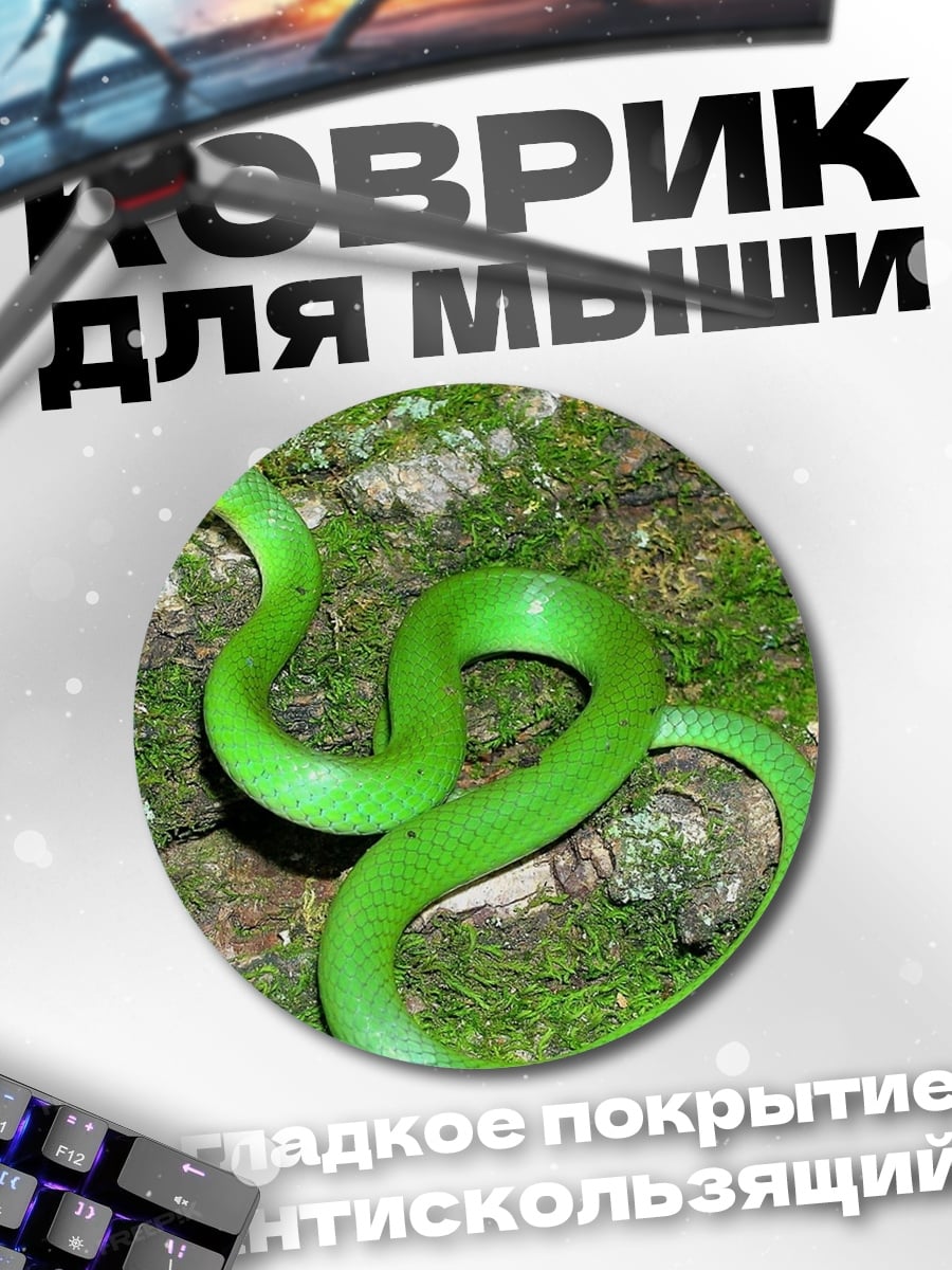 Коврик круглый Зелёная змея