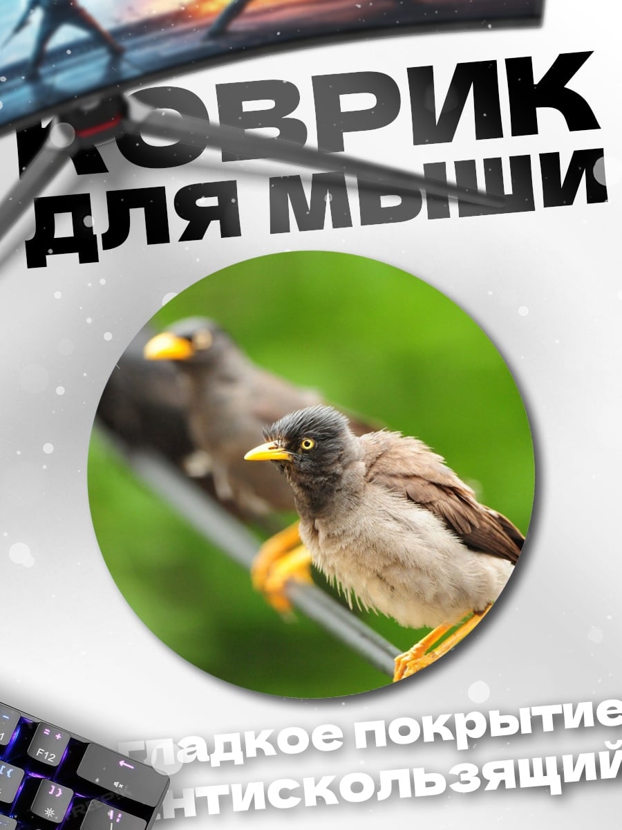 Коврик круглый Птицы на проводе