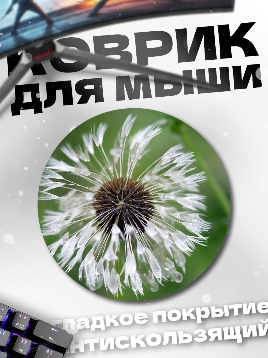 Коврик круглый Белый одуванчик в каплях
