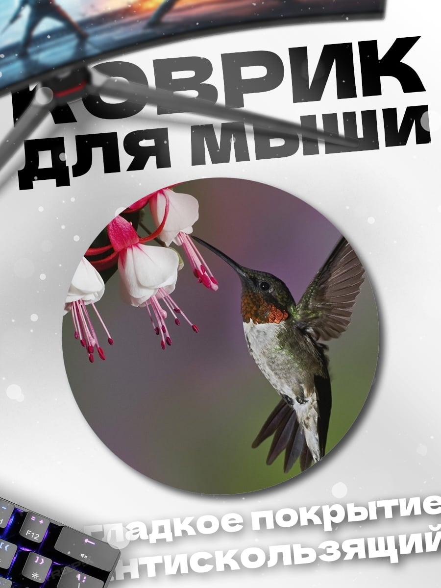Коврик круглый Колибри и фуксия
