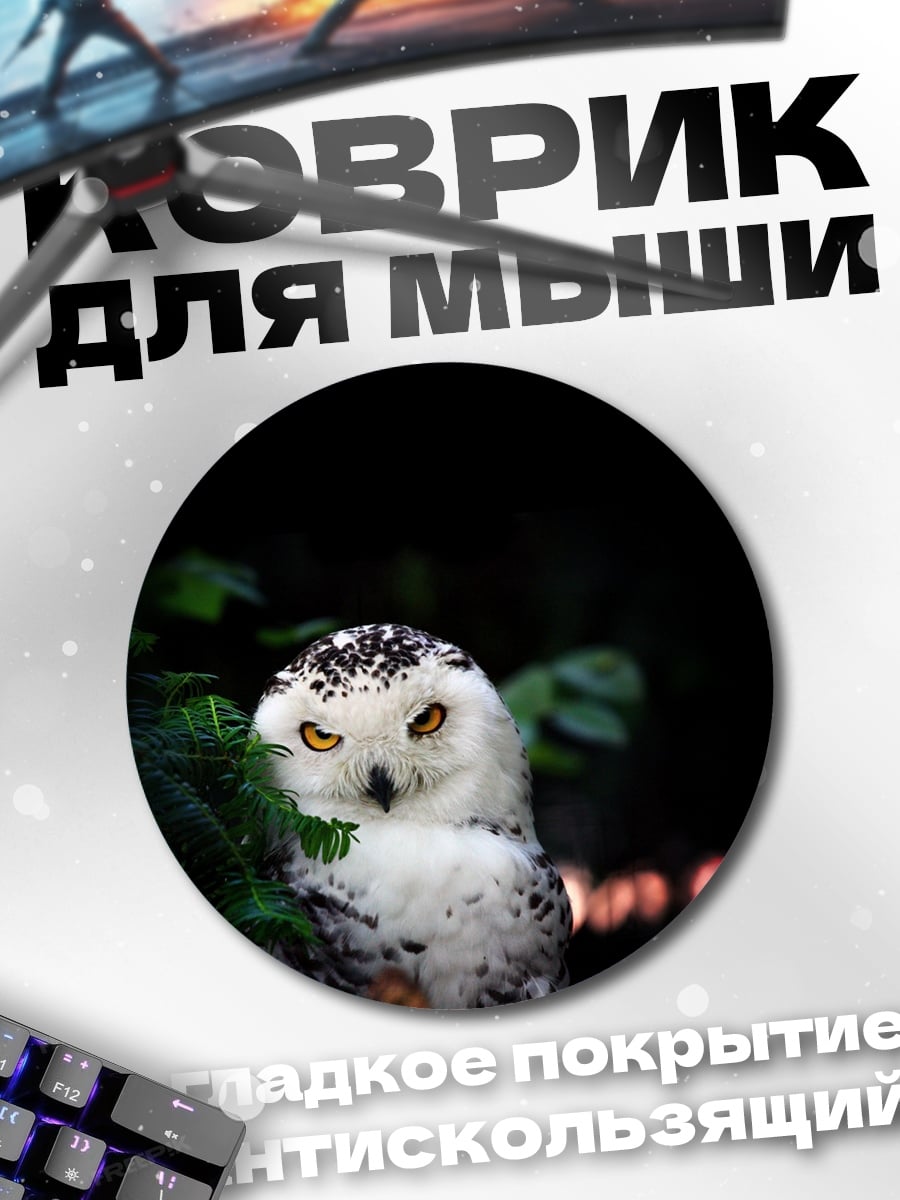 Коврик круглый Снежная сова смотрит