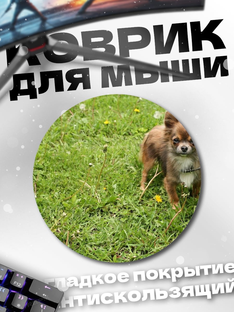 Коврик круглый Чихуахуа на траве