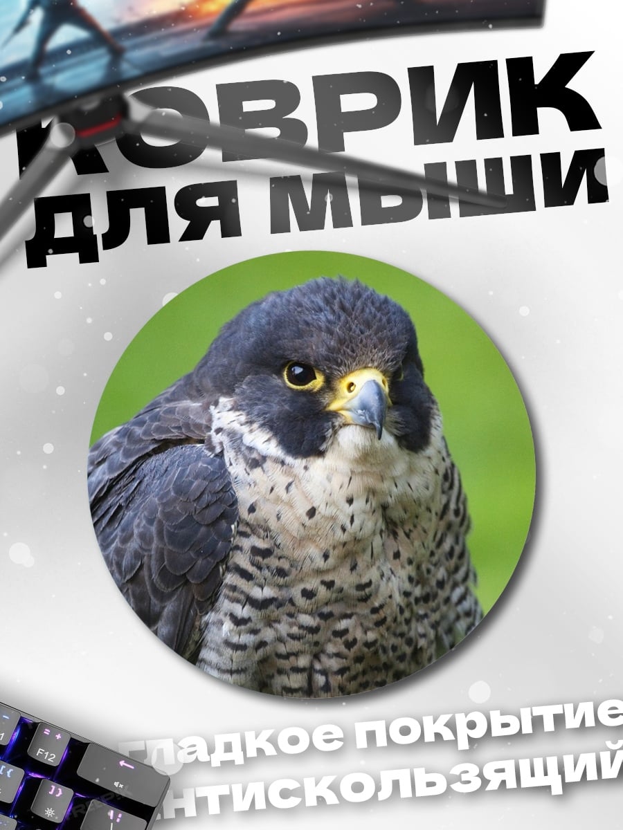 Коврик круглый Сокол в природе
