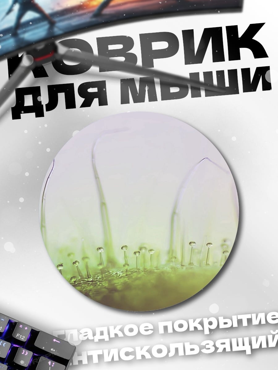 Коврик круглый Нежные ростки в тумане