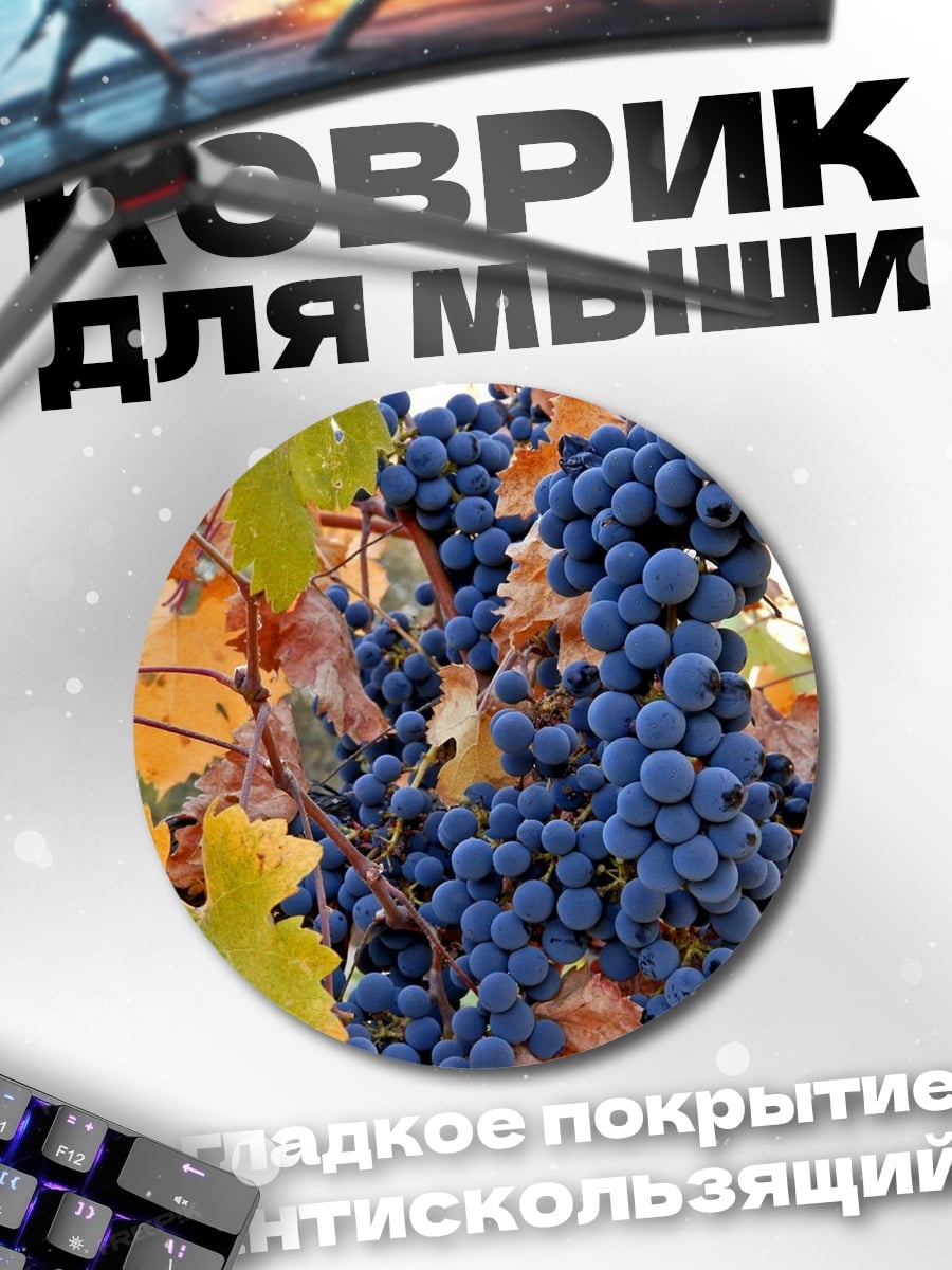 Коврик круглый Виноградная лоза осенью