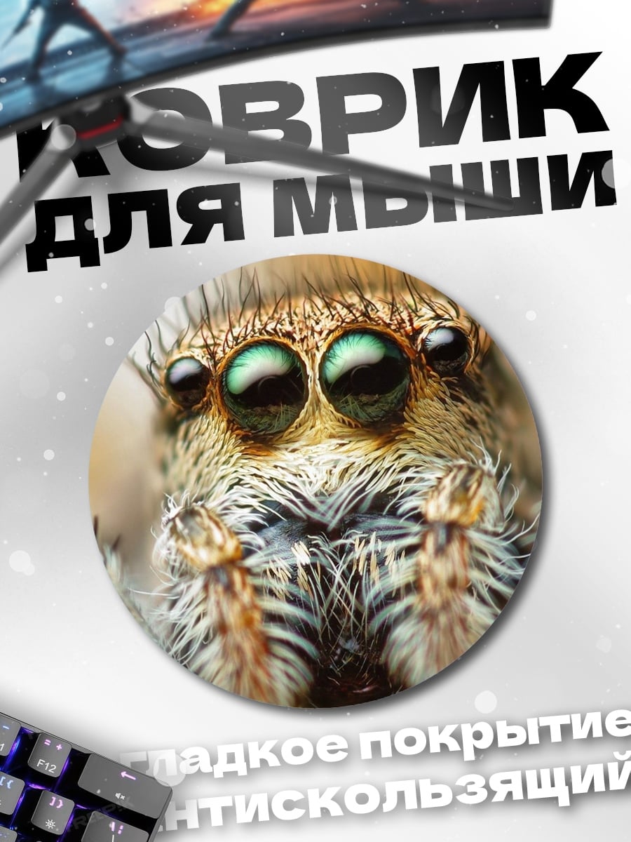 Коврик круглый Паук-скакун крупным планом