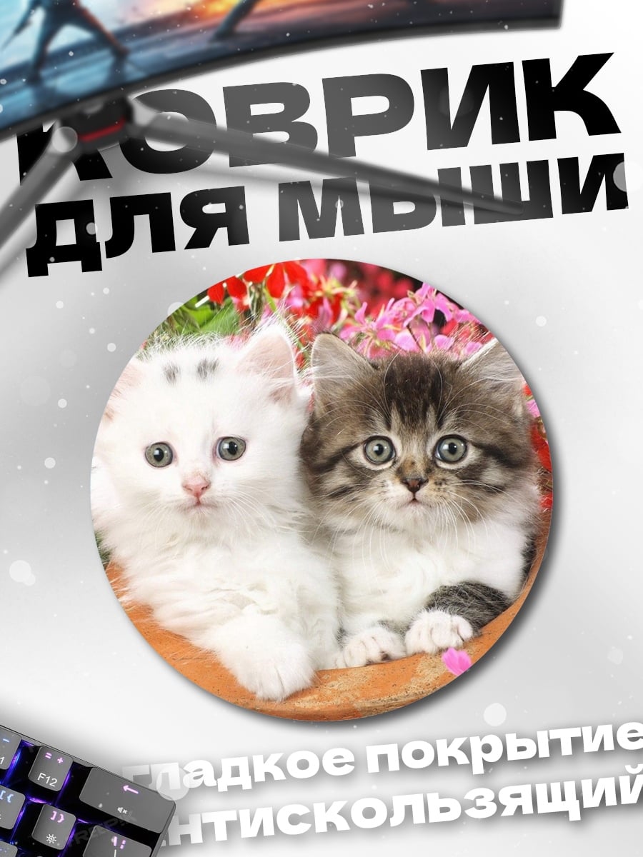 Коврик круглый Два котенка в горшке