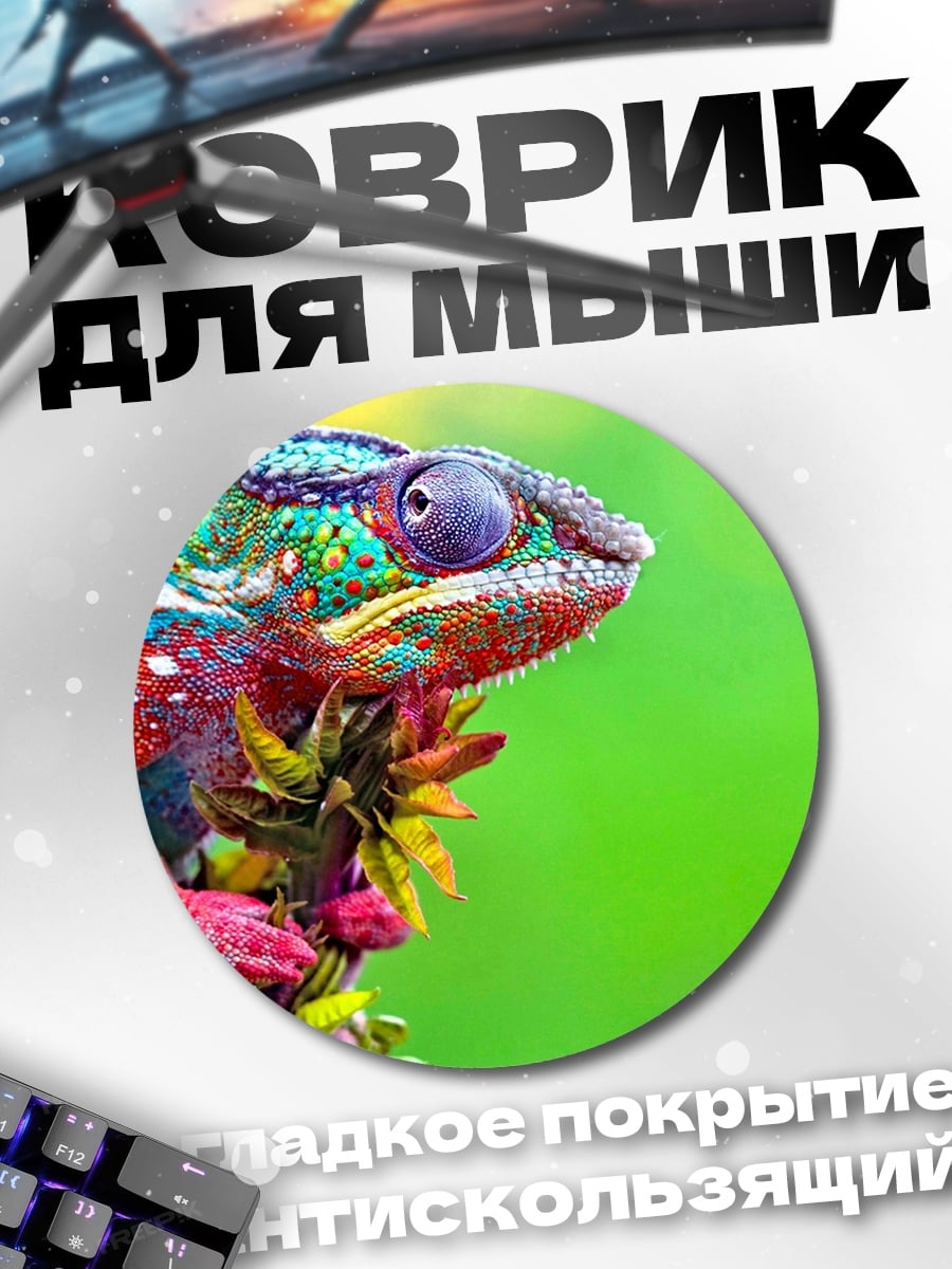 Коврик круглый Радужный хамелеон