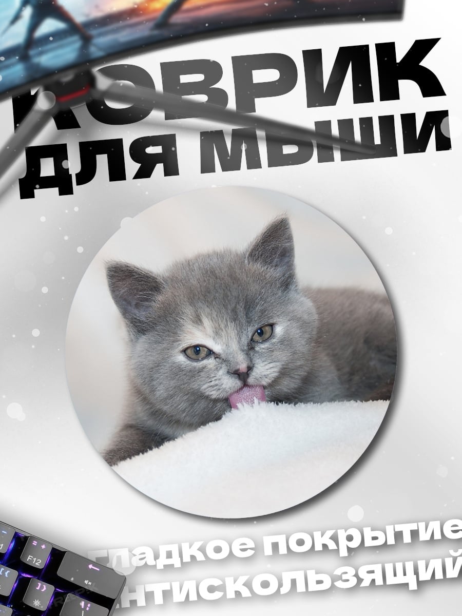Коврик круглый Серый котенок