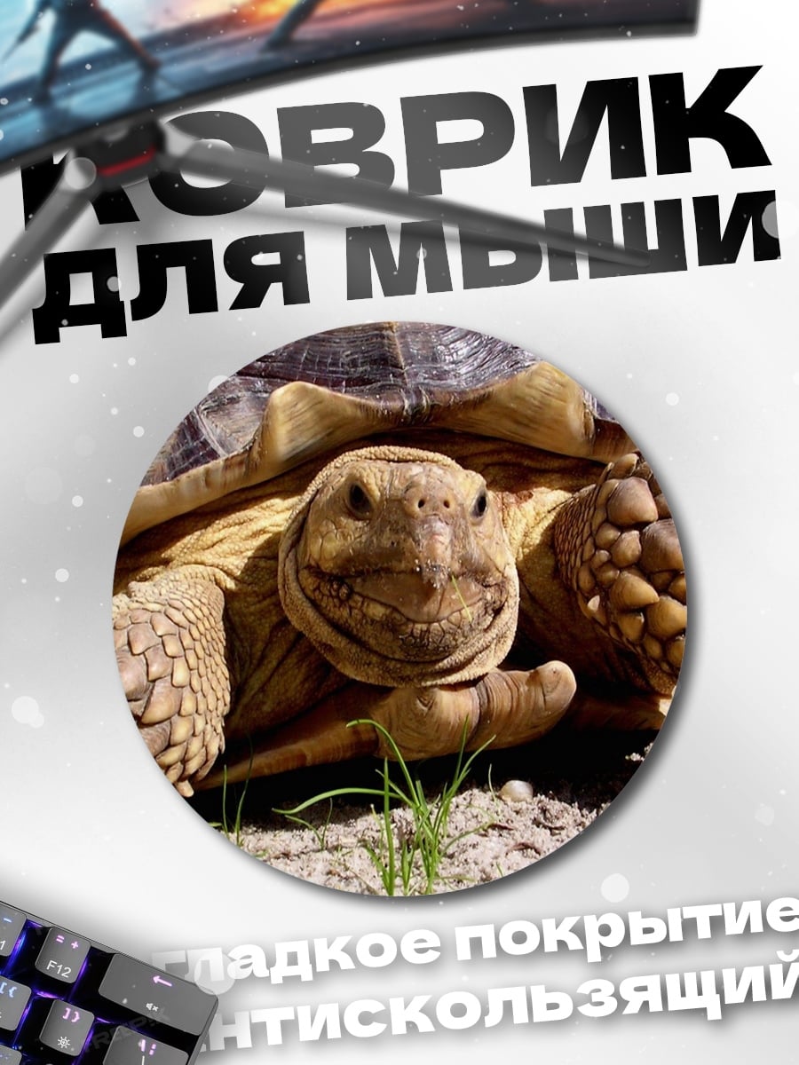 Коврик круглый Черепаха на траве