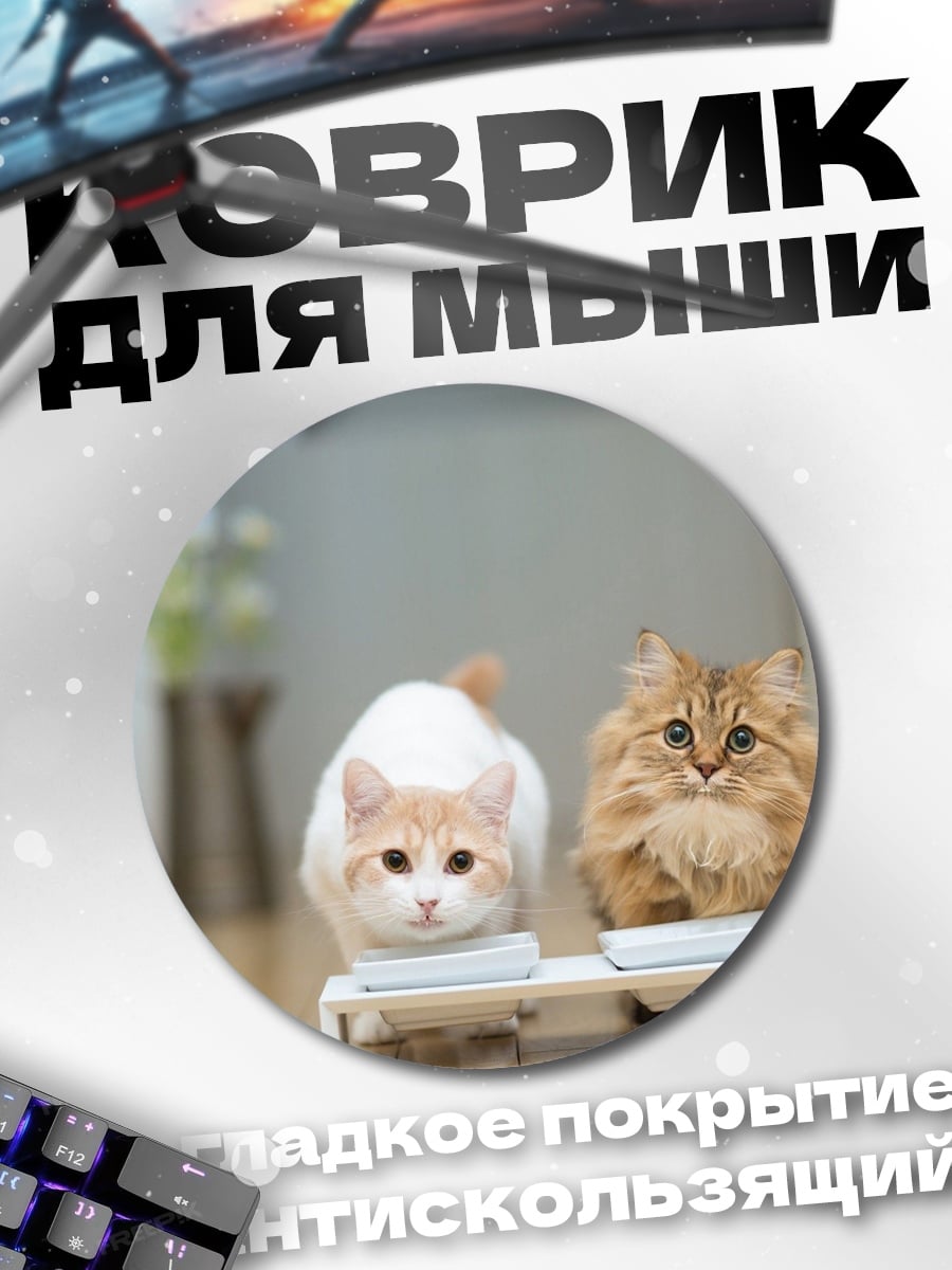 Коврик круглый два котенка