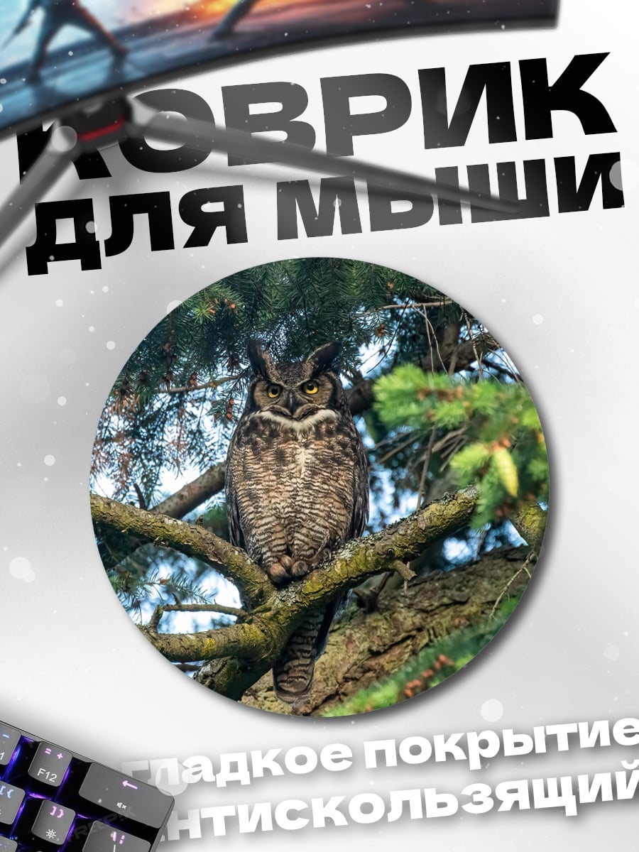 Коврик круглый филин на ветке