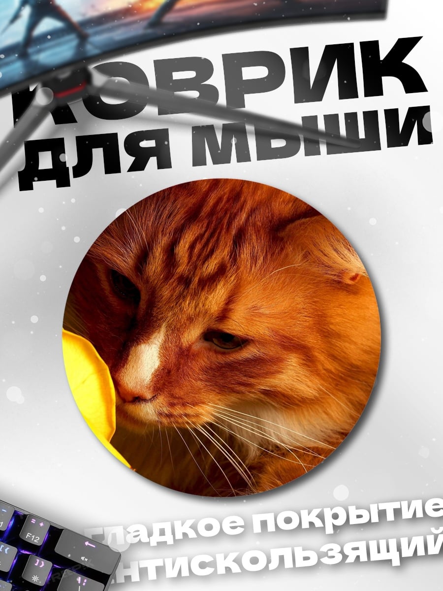 Коврик круглый Рыжий кот и роза