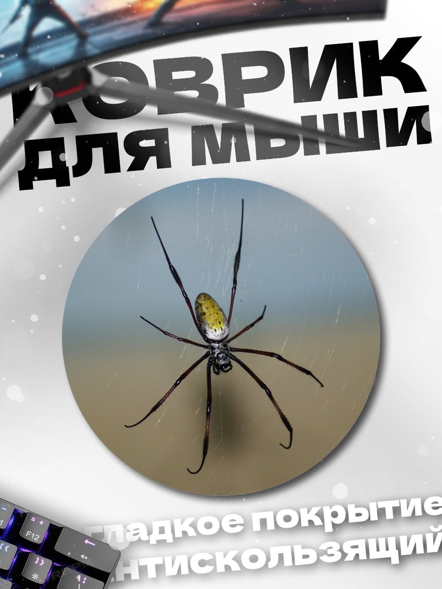 Коврик круглый Паук-птицеед