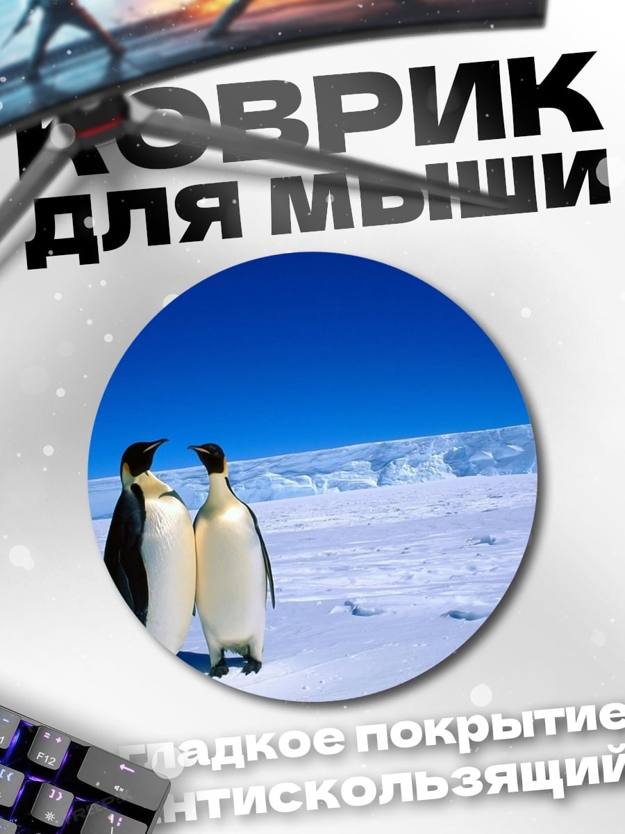 Коврик круглый Два пингвина лед