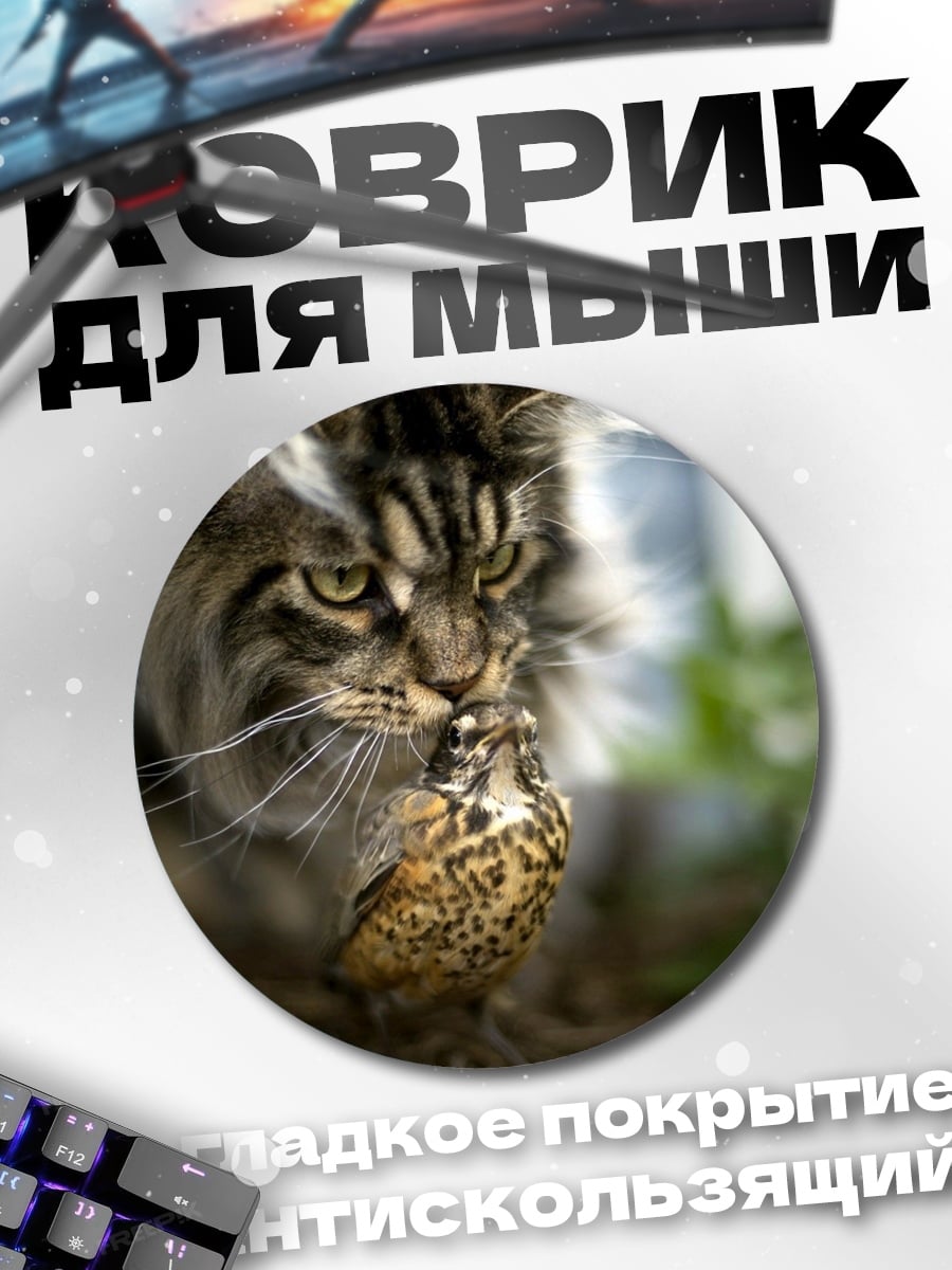 Коврик круглый Кот добывает птицу