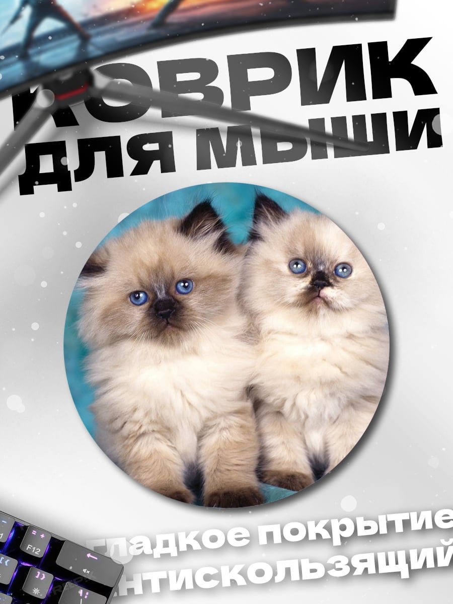 Коврик круглый Два котенка