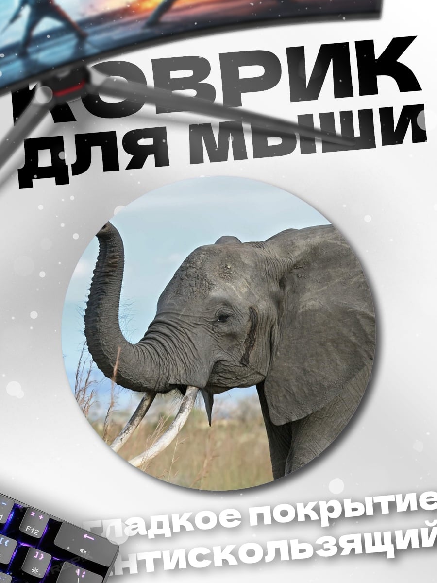 Коврик круглый Африканский слон трубит