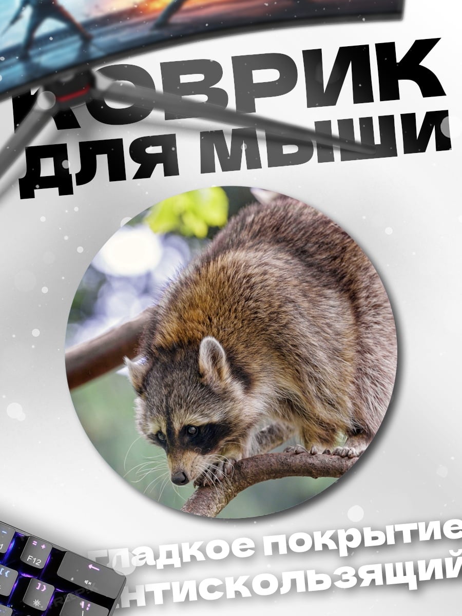 Коврик круглый Енот на ветке дерева