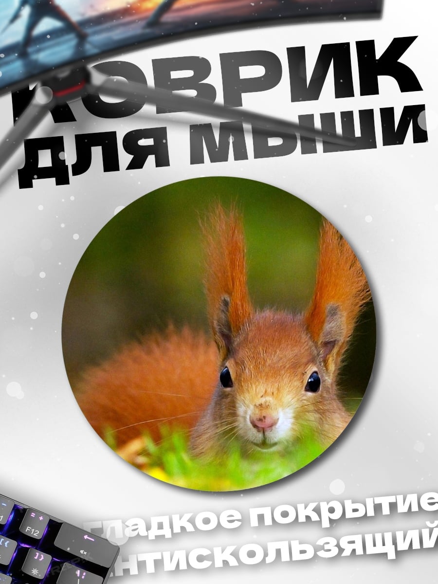 Коврик круглый Рыжая белка в траве