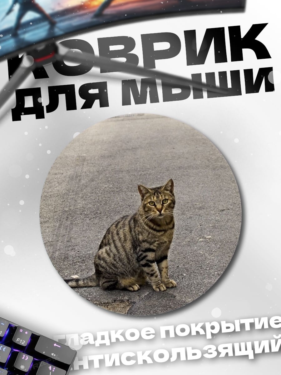 Коврик круглый Кот на дороге