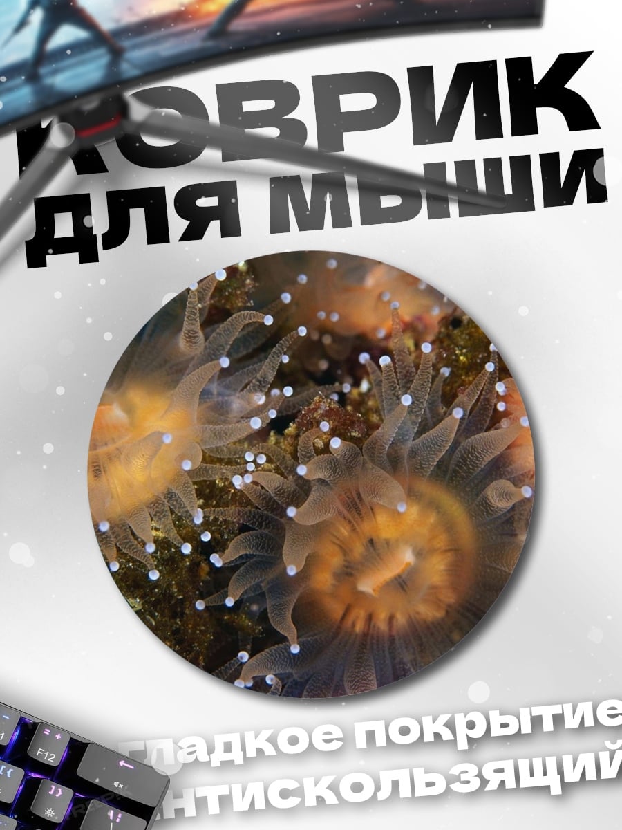 Коврик круглый морские анемоны подводный мир