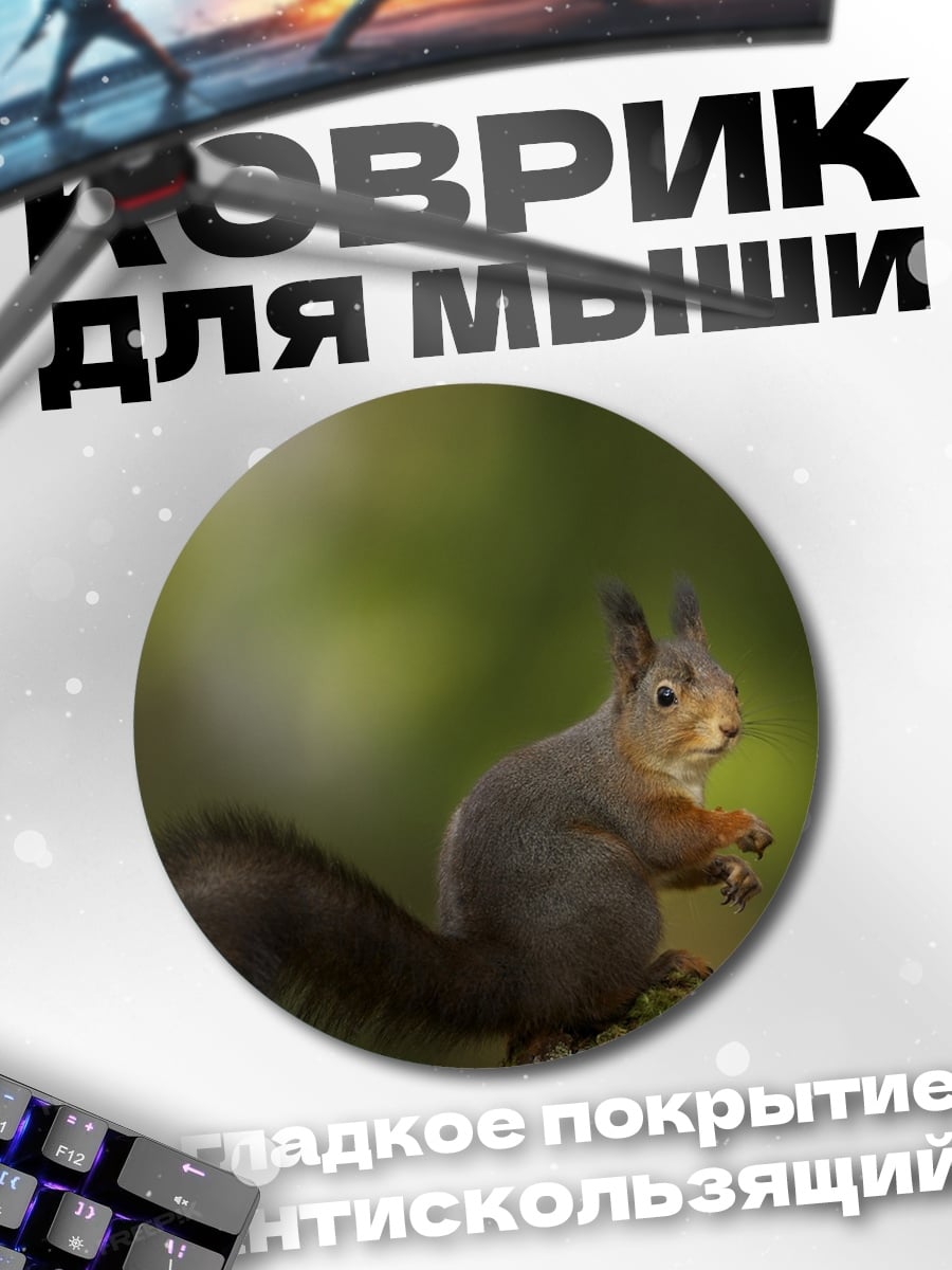 Коврик круглый рыжая белка ест