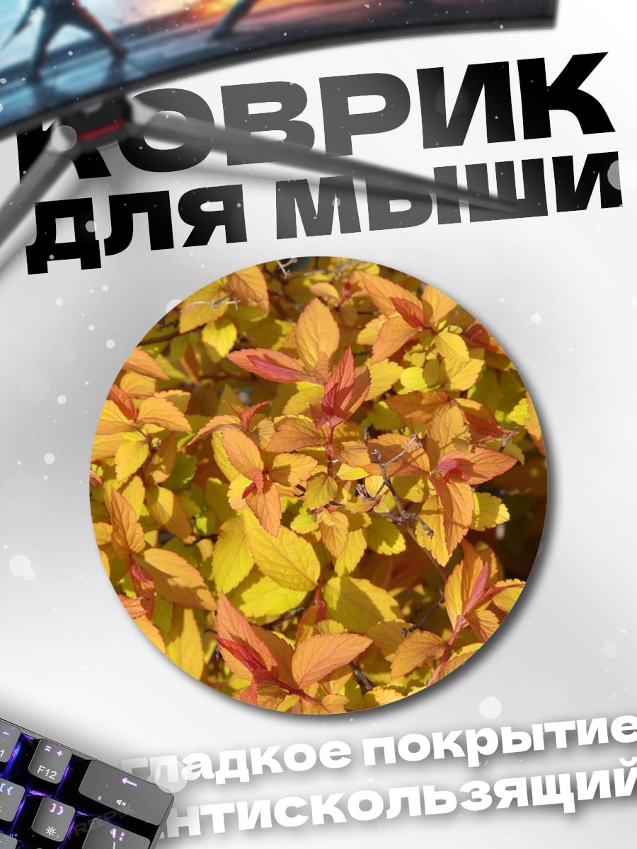 Коврик круглый Золотая листва осенью