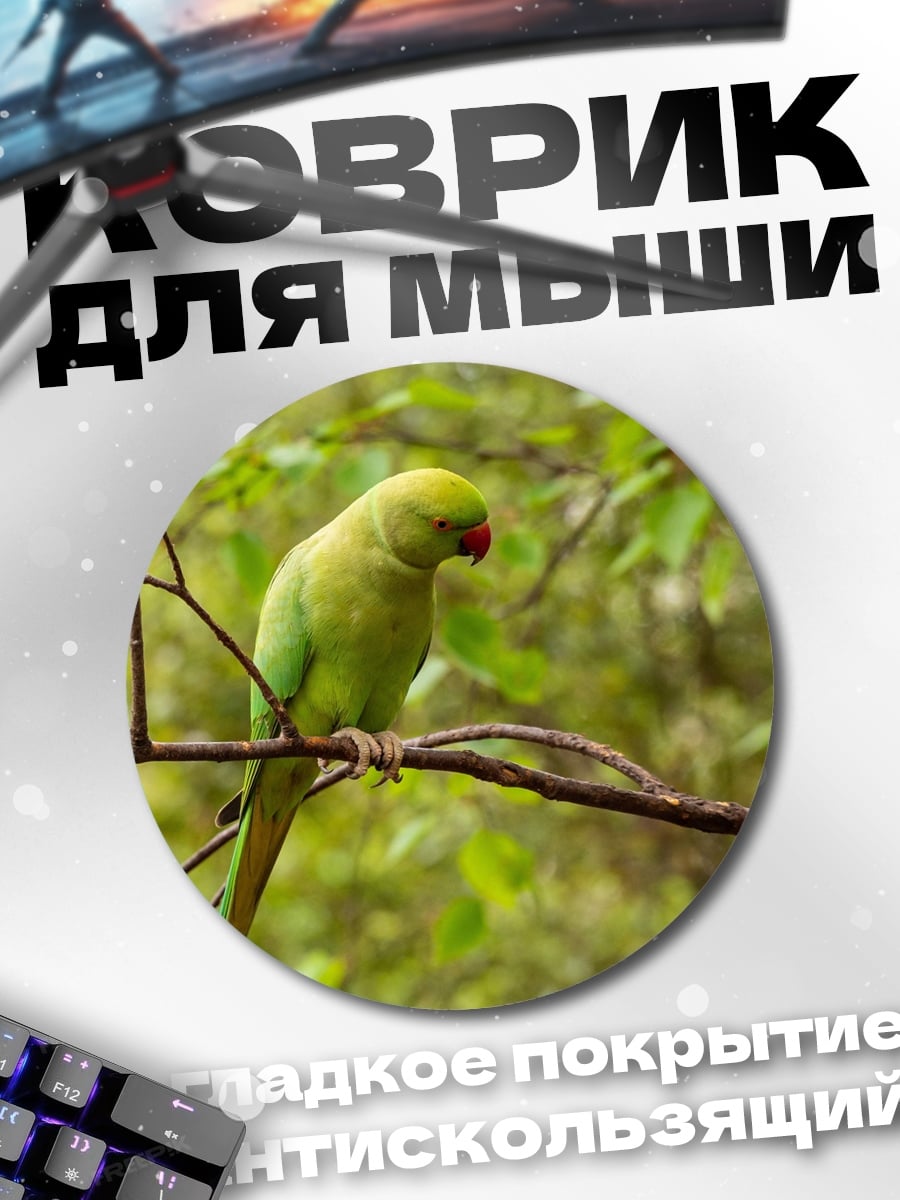 Коврик круглый Зеленый попугай ветка