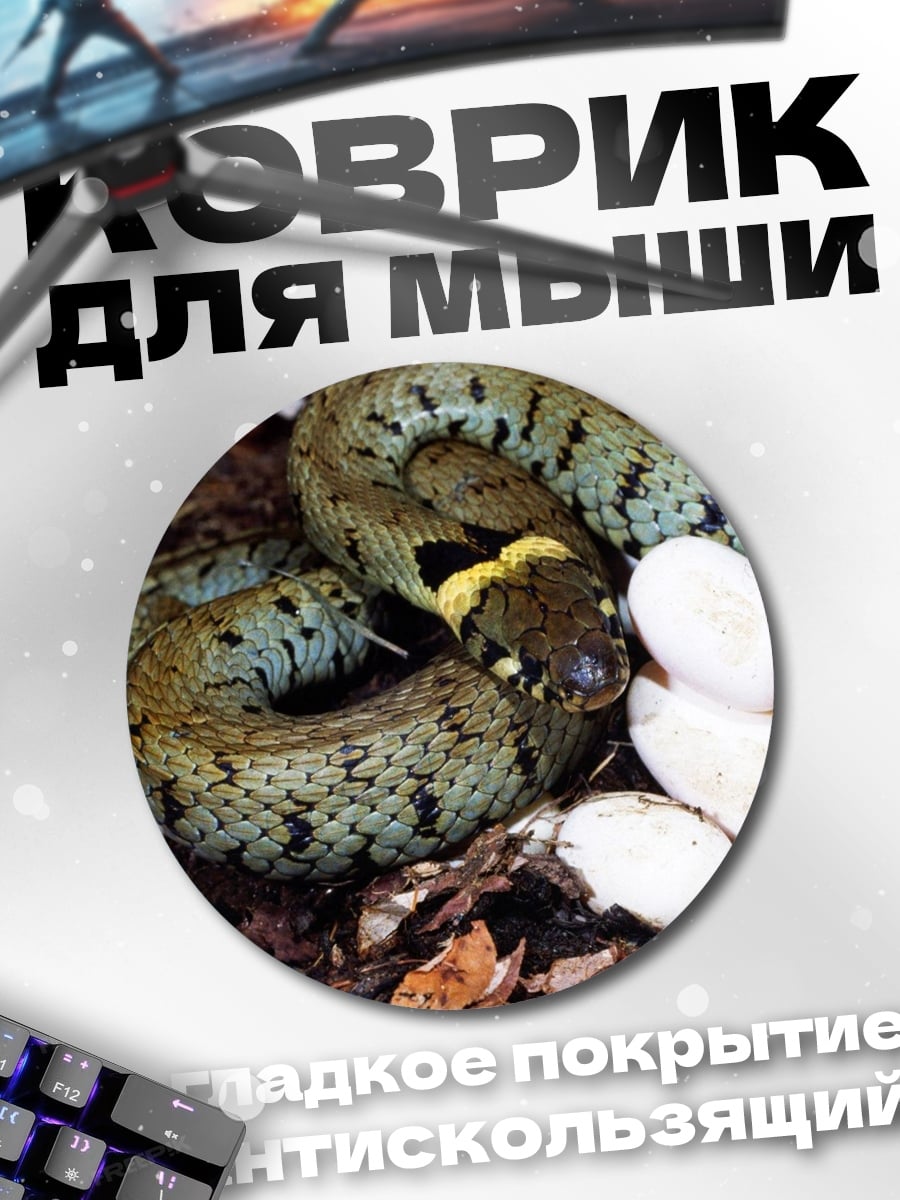 Коврик круглый змея с яйцами