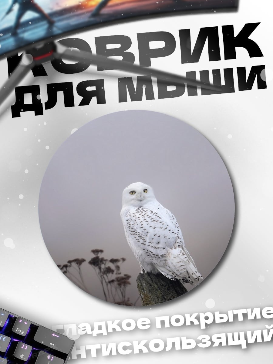 Коврик круглый Белая сова туман