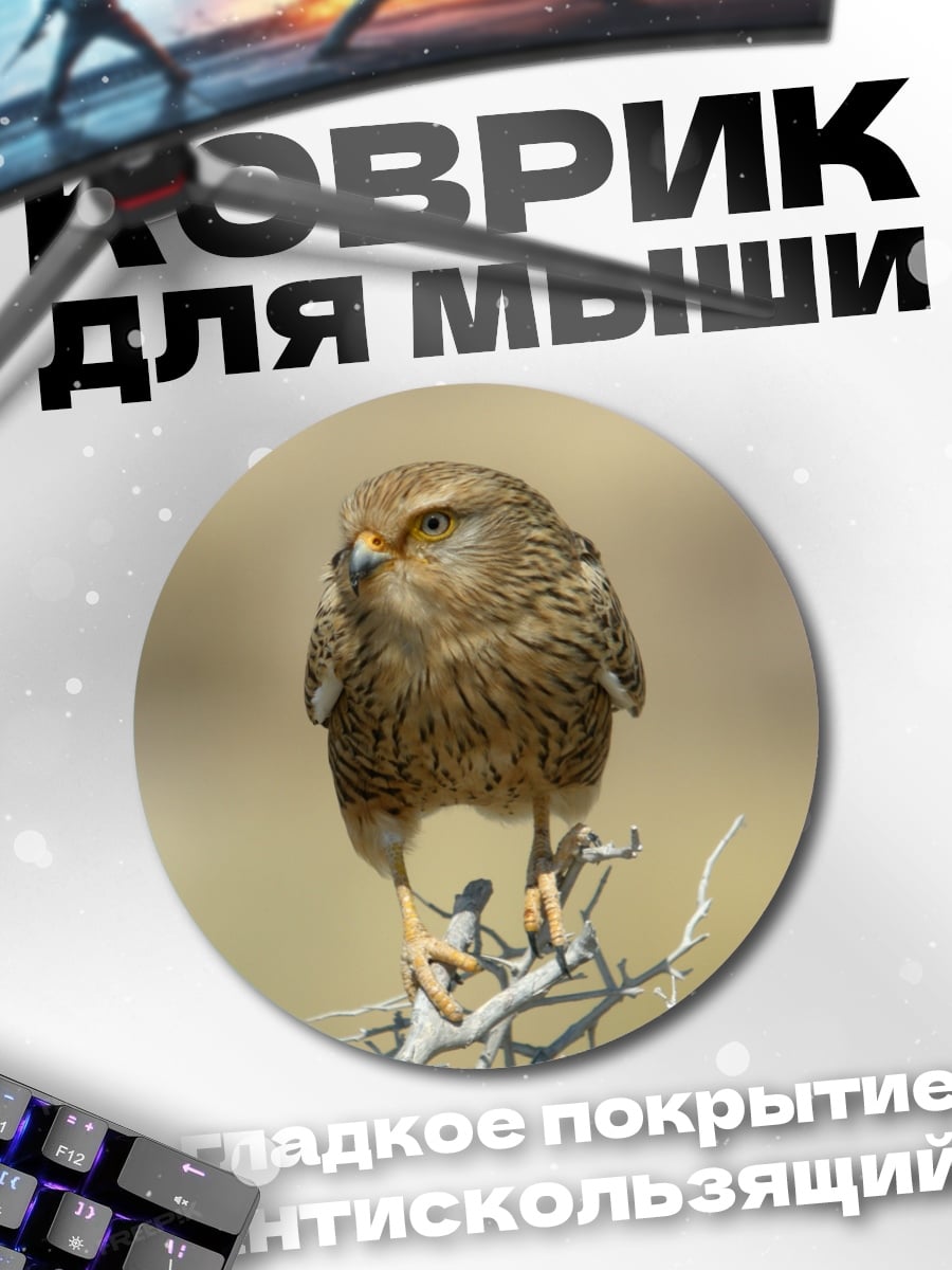 Коврик круглый Пустельга на ветке