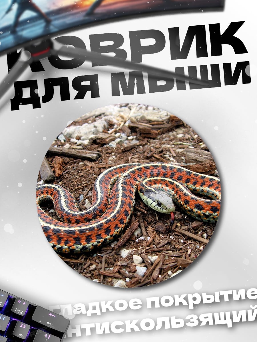 Коврик круглый Полосатая змея на земле