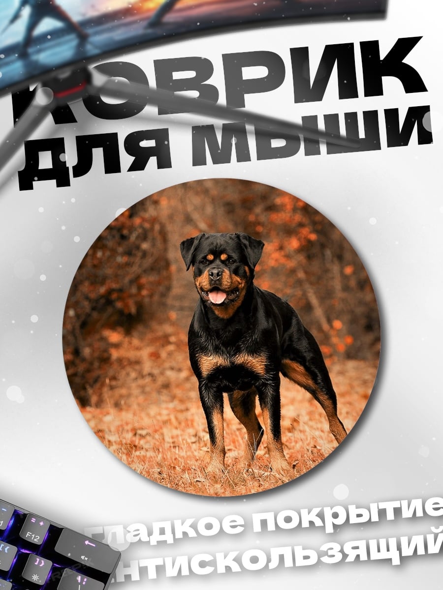 Коврик круглый Ротвейлер в осеннем лесу