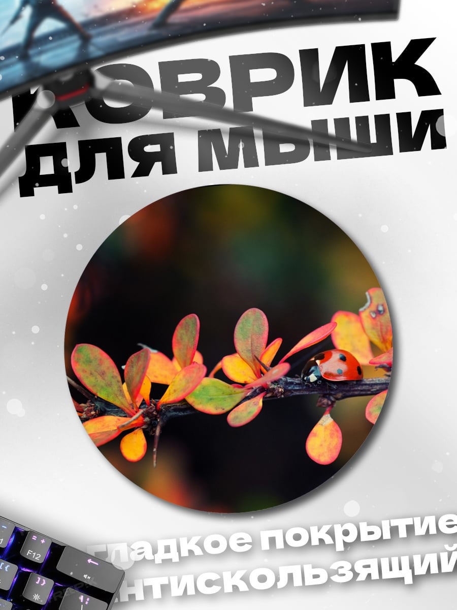 Коврик круглый Божья коровка осенью