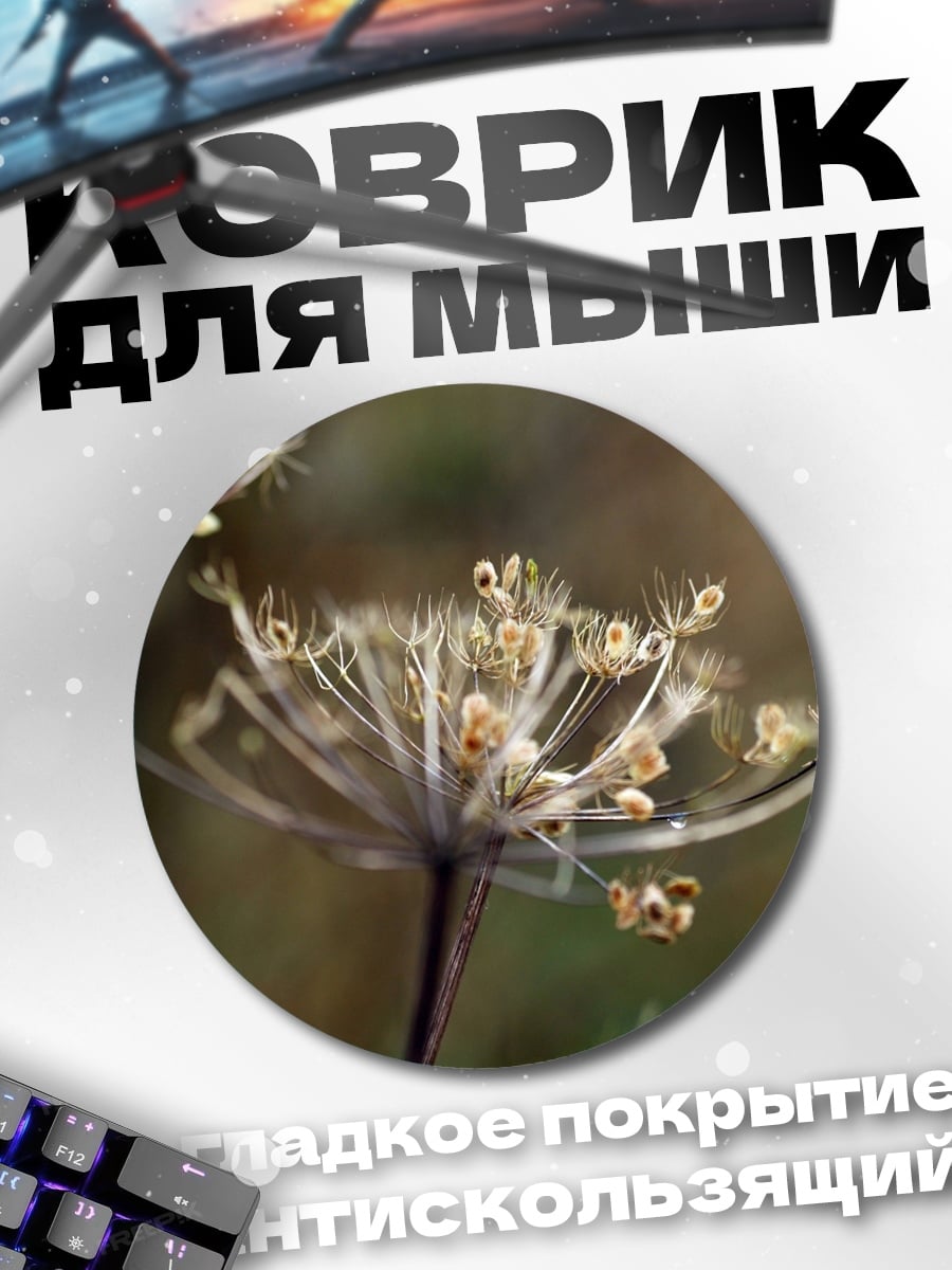 Коврик круглый Сухие зонтичные цветы