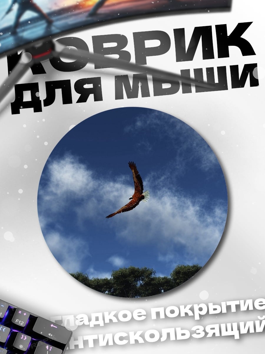 Коврик круглый Орел в небе