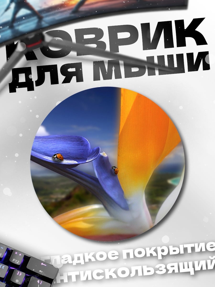 Коврик круглый райская птица