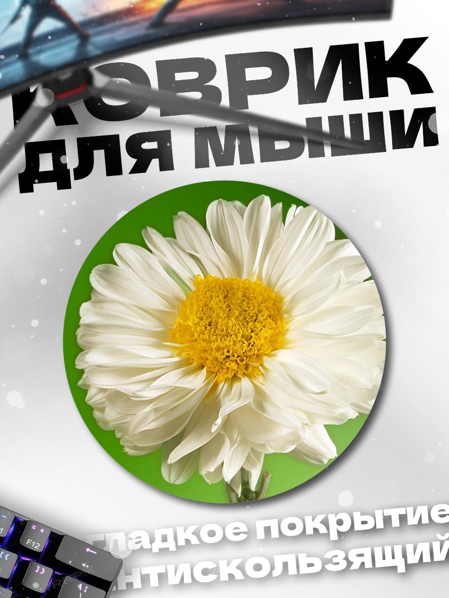 Коврик круглый Белая ромашка