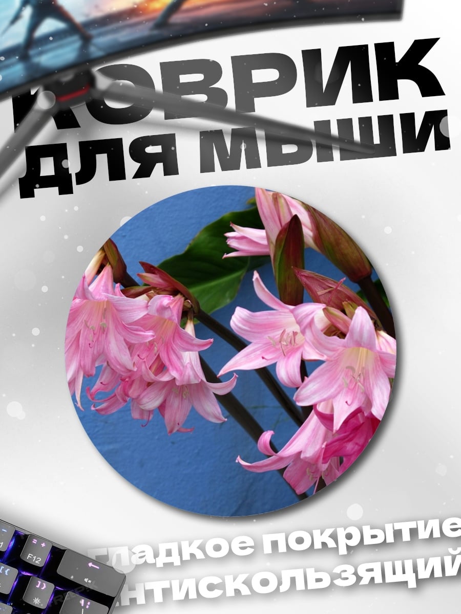 Коврик круглый Розовые лилии